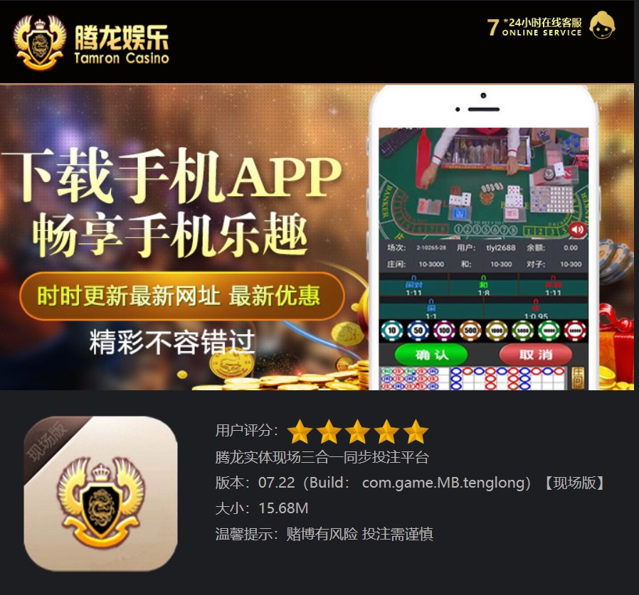 腾龙公司办公环境