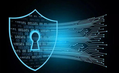 坚持防御型投资在互联网信息服务领域的价值与回报